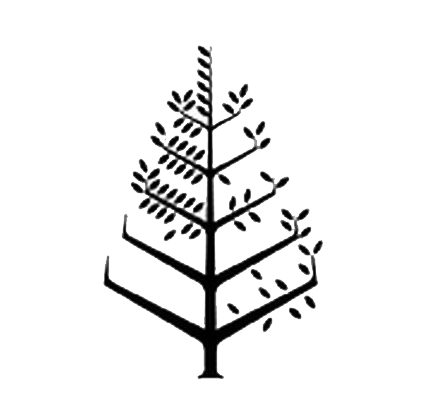 迈阿密四季酒店 Logo